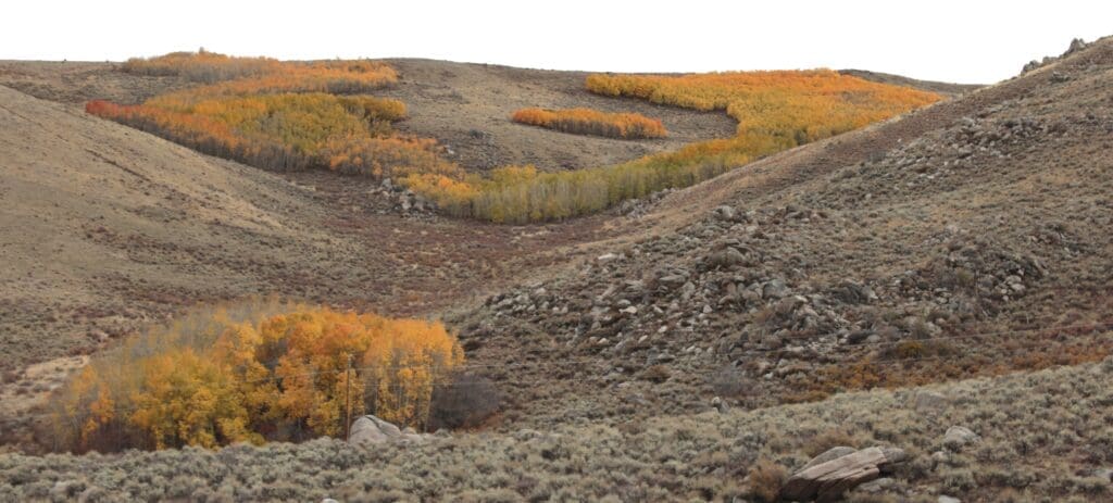 Austin Summit Fall Colors